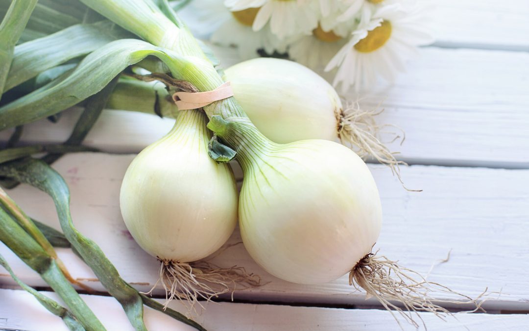 „To know your onions“ – Kennen Sie Ihre Zwiebeln? Test yourself!